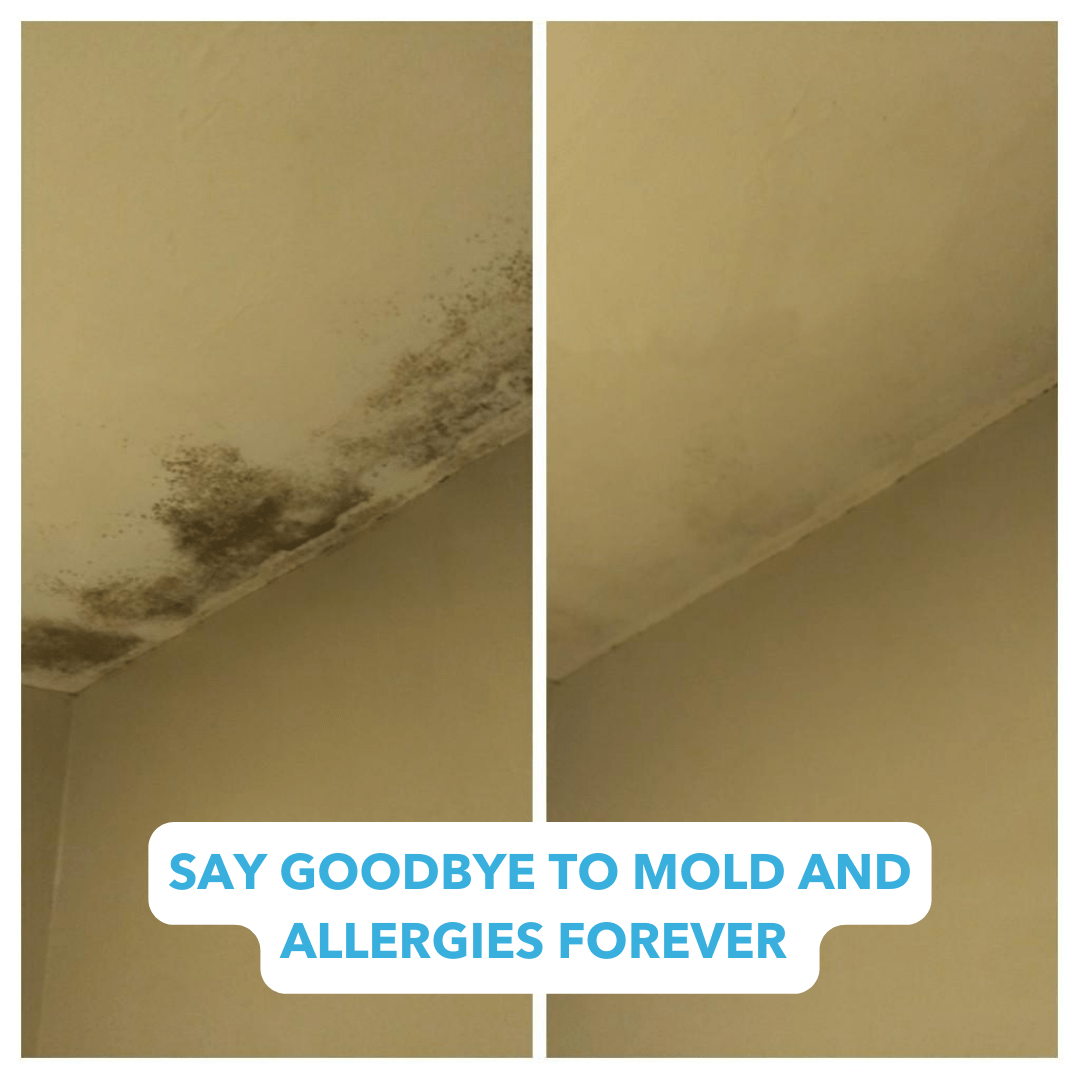 UVLIZER™ Disinfection Tower