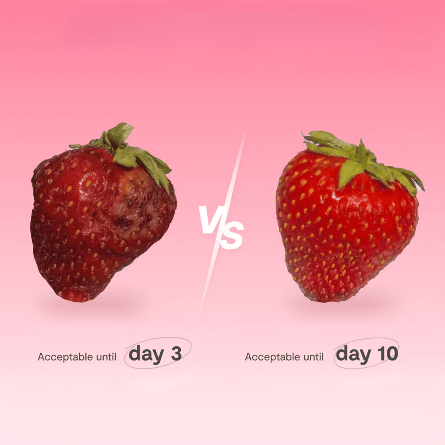 Fridgie™ The fridge purifier that keeps your food fresh